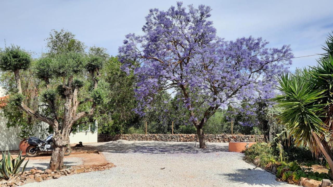 Rural Peace In The Algarve - Private Room With Kitchenette And Bathroom Aldeia dos Matos Ngoại thất bức ảnh